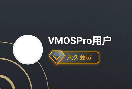 虚拟大师VMOS Pro专业版v1.3.1