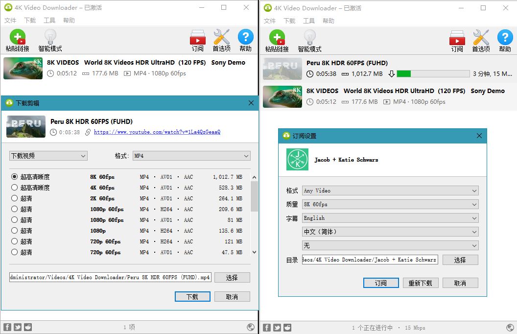 油管高清视频下载利器4K Video Downloader v4.20.4-1688n - 1688呢